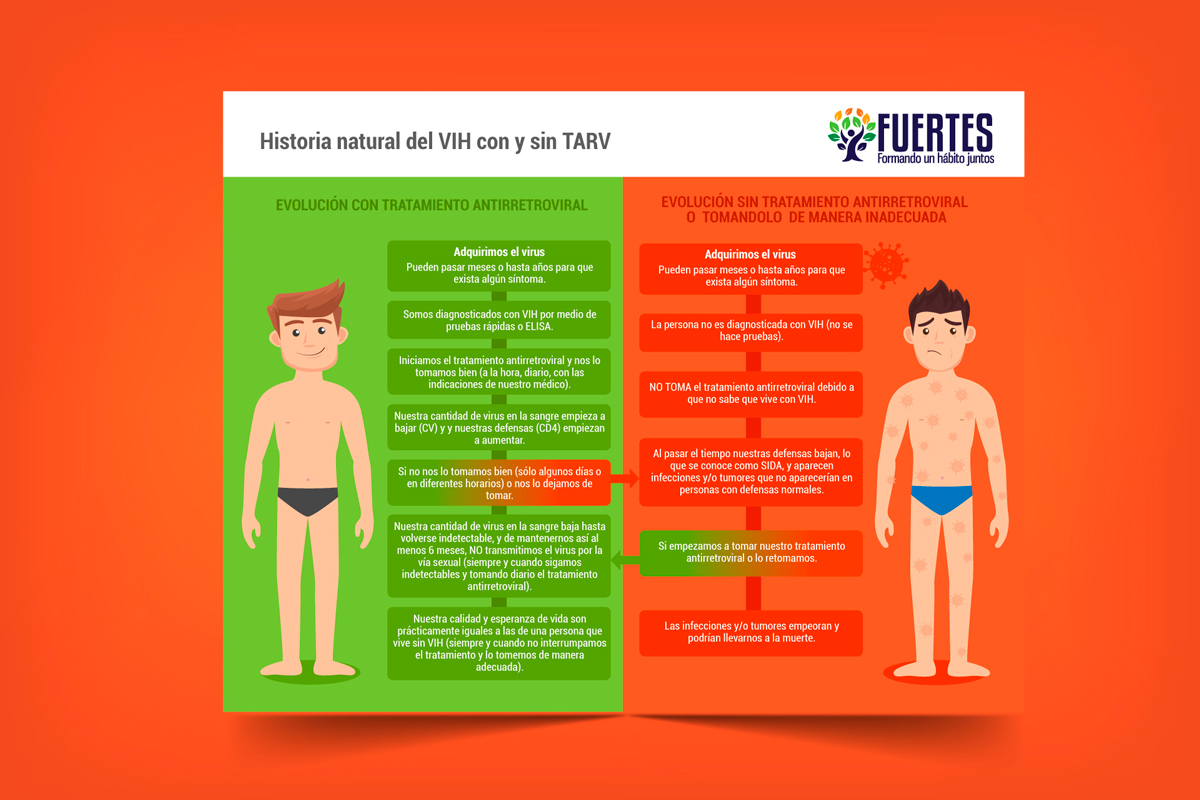 Infografía de Fuertes INSP